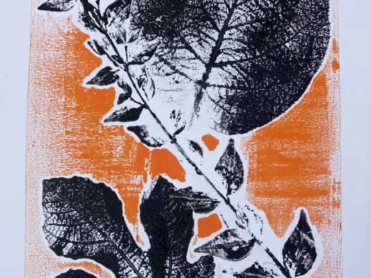 Atelier : monotypes de plantes © Museum de Toulouse