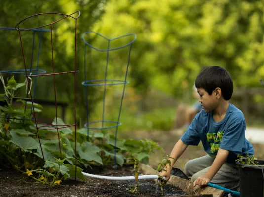 Atelier de jardinage : l'eau, source de vie au jardin © Pixabay