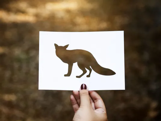 Sur la piste des animaux… à la forêt de Buzet © Maginfic