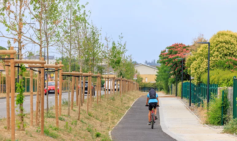 La bicyclette verte online toulouse