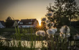 Dr. Norbert Heidenbluth - Coucher de soleil sur la Düssel  © Dr. Norbert Heidenbluth