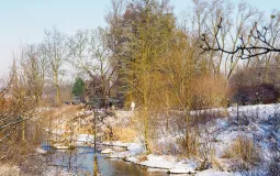 Susanne Terhoeven - La Düssel en hiver © Susanne Terhoeven
