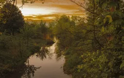 Hartmut Burg - Ambiance du soir sur la Düssel renaturée © Hartmut Burg