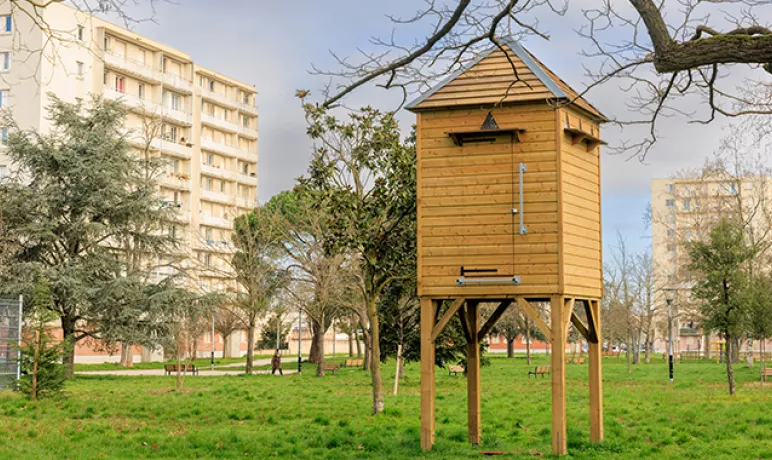 le pigeonnier contraceptif du quartier de la faourette