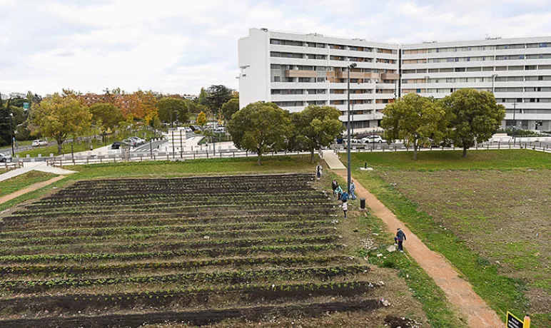 La friche Daurat s'habille de vert