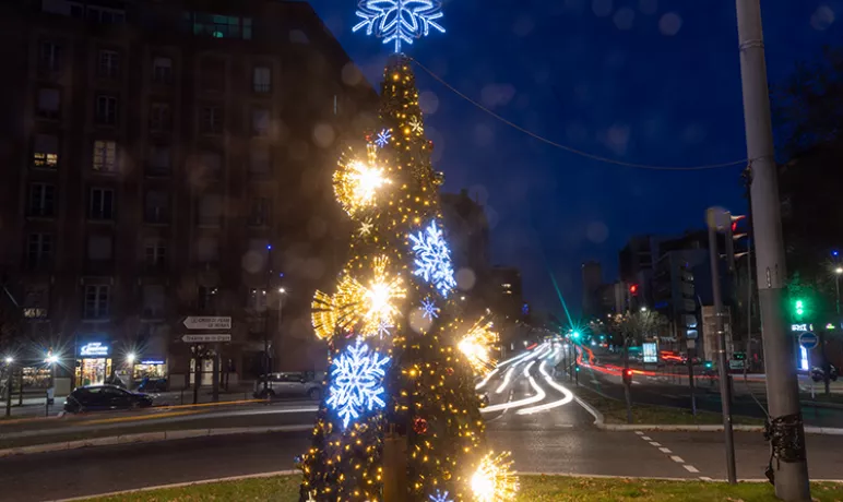 sapin de Noël en ville