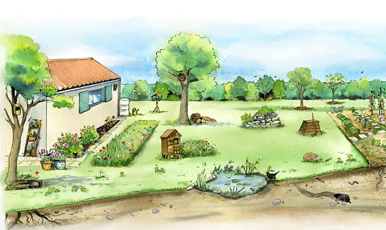 Illustration d'un jardin avec différentes installations pour accueillir la faune. © © ANT