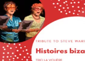 "Histoires bizarres" Tribute to Steve Waring - Mercredi 14 décembre © Array