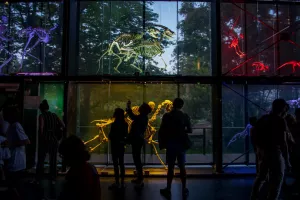 La Nuit des Musées à Toulouse